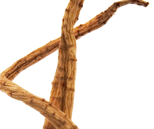 Top Gut Microbiome Nutrients