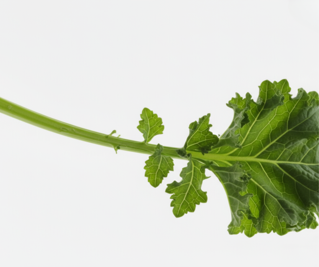 Vitamins and Your Health: What You Need to Know